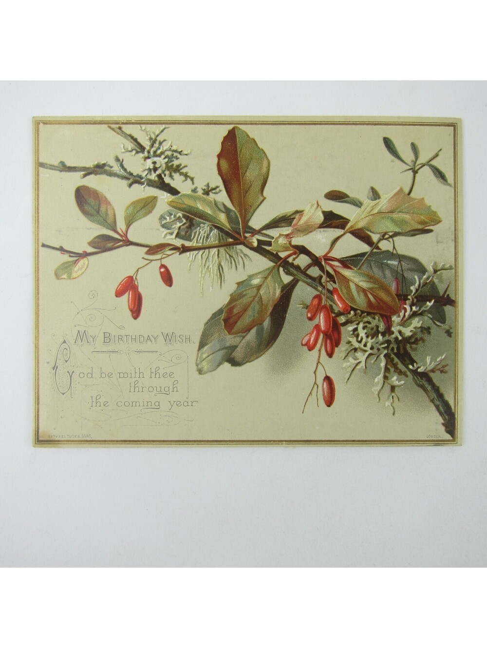 Victorian Birthday Greeting Card Red Barberry Branch Raphael Tuck & Sons Antique